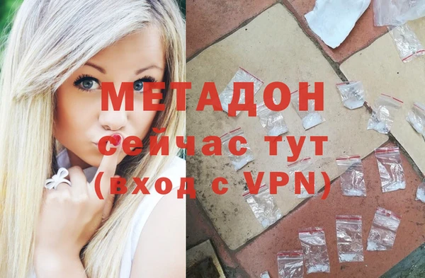 гидра Абаза