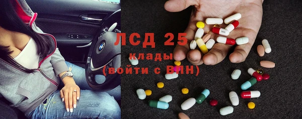 стафф Алексин