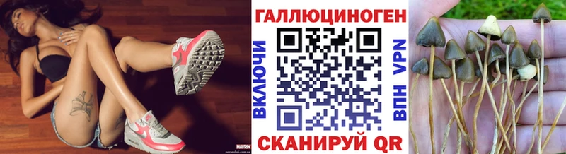 Псилоцибиновые грибы мухоморы дарк нет какой сайт Тулун
